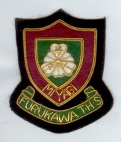 FURUKAWA T.H.S