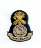 P O 210003 Badge Valeur Et Discipline