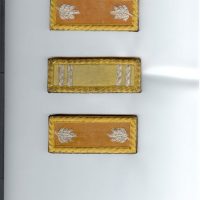 Shoulder rank sample