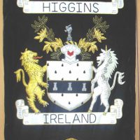 banner 20 x 30 higgins